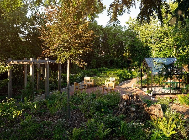 Sensory Gardens: Designing Outdoor Spaces for Dementia Care