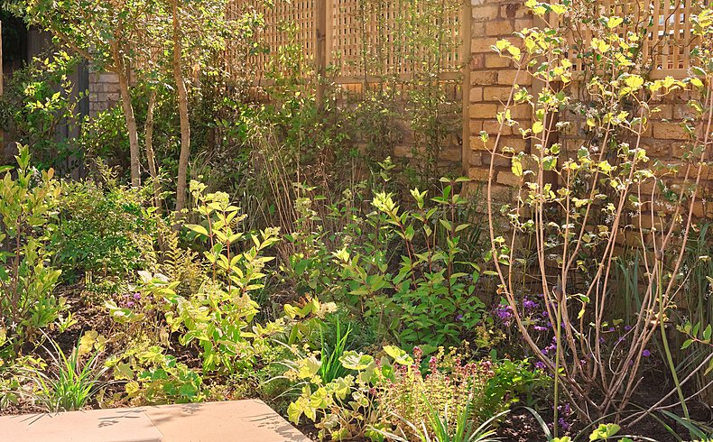 Walled Garden